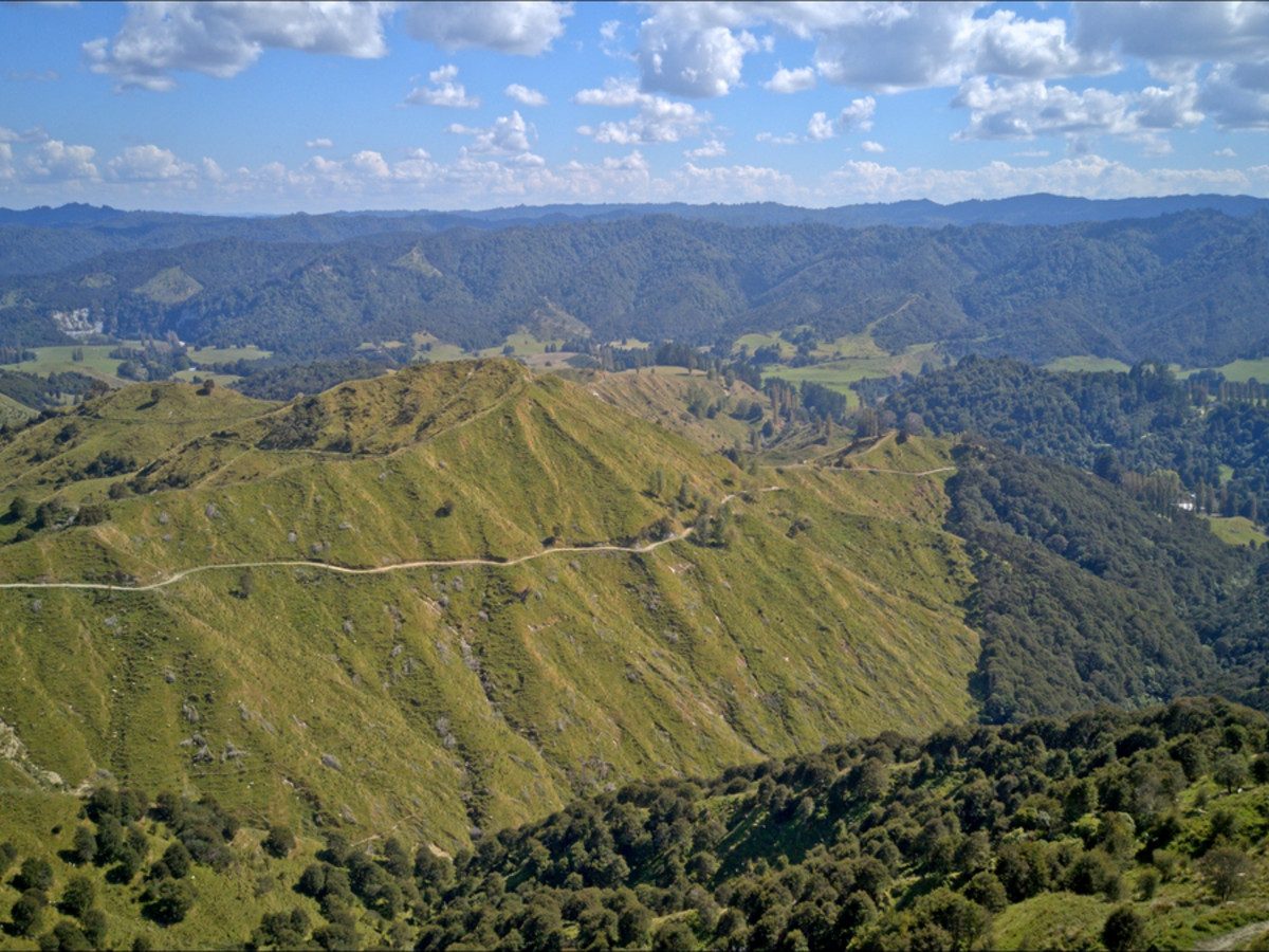 Ruakaka — slide 25