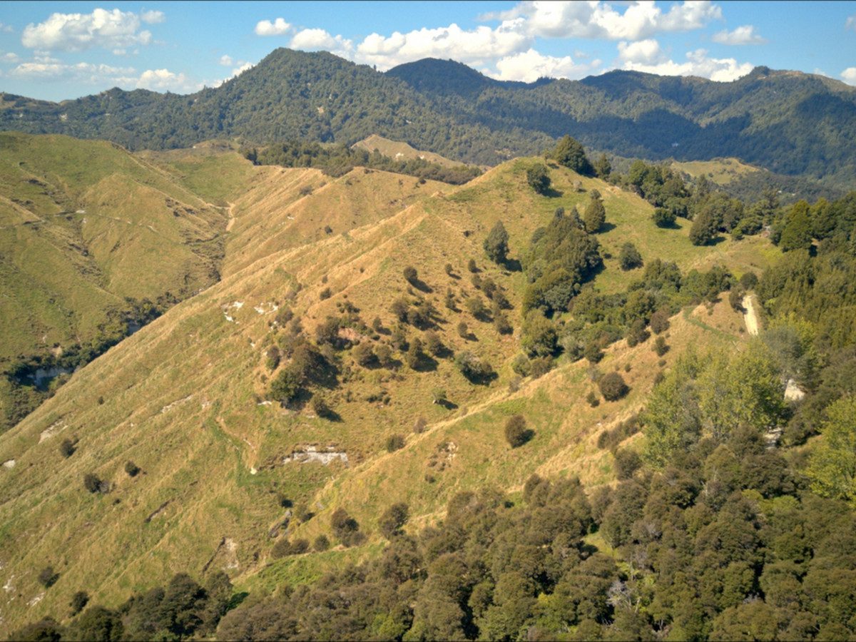 Ruakaka — slide 26