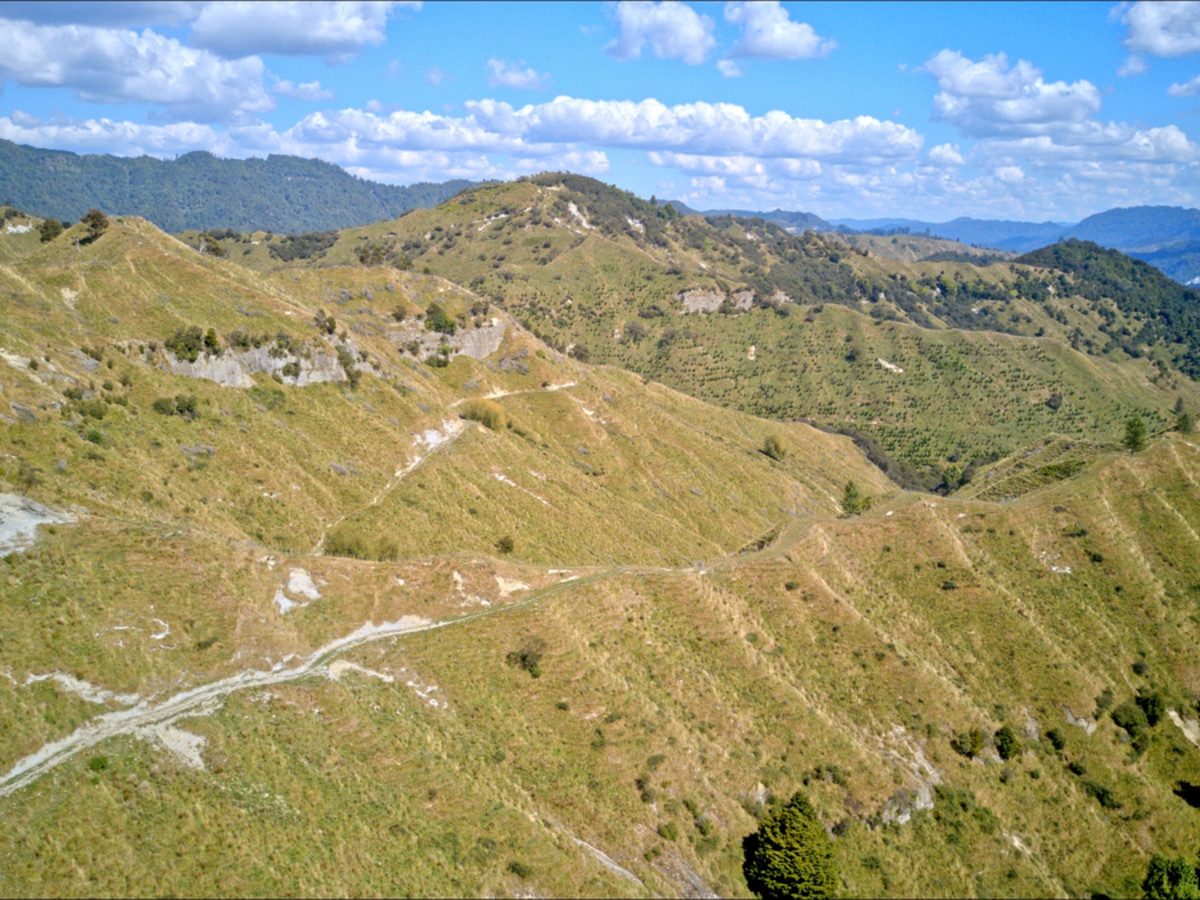 Ruakaka — slide 27