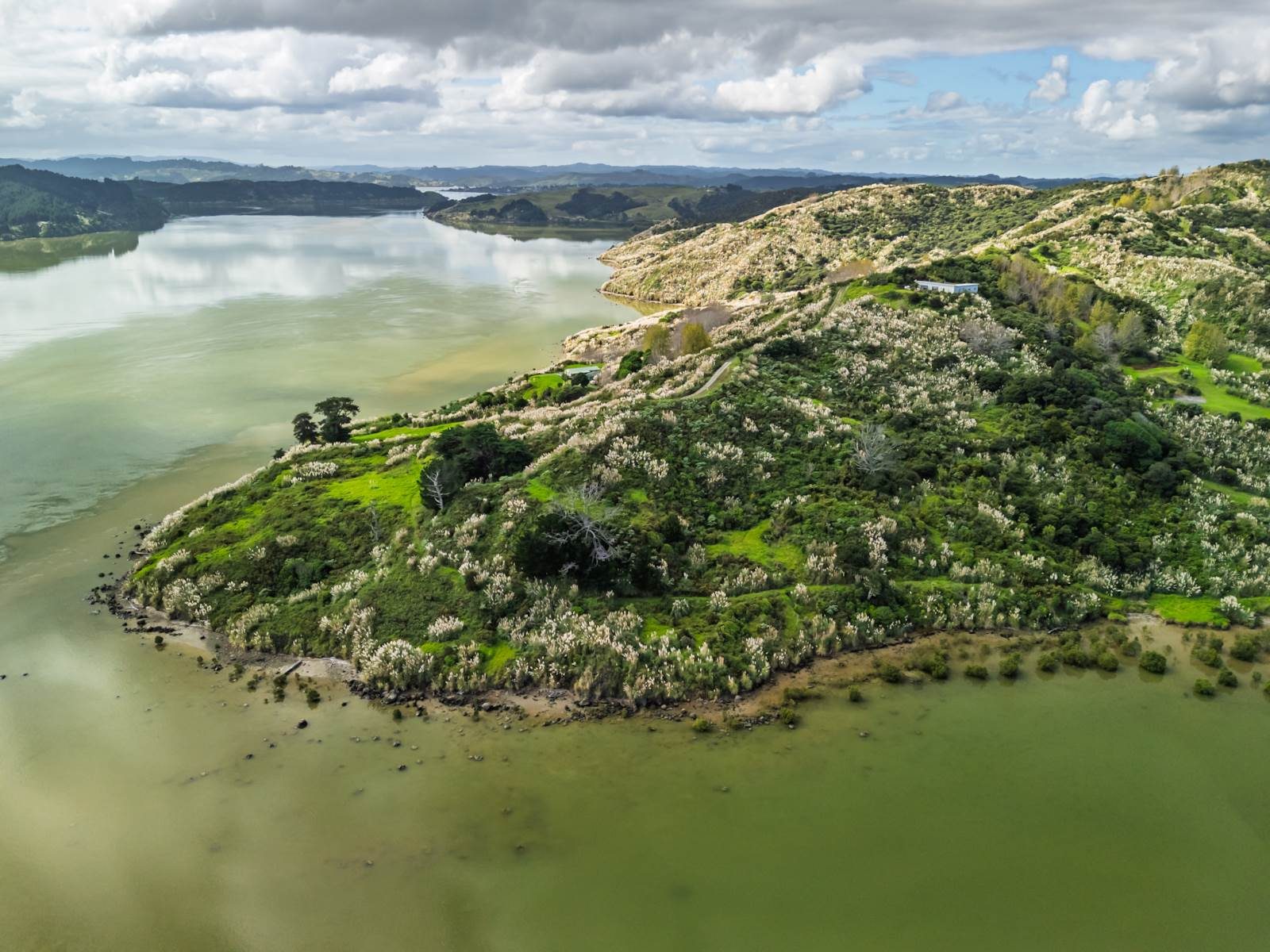 Price Reduced - 12 Acres of Hokianga Magic — slide 18