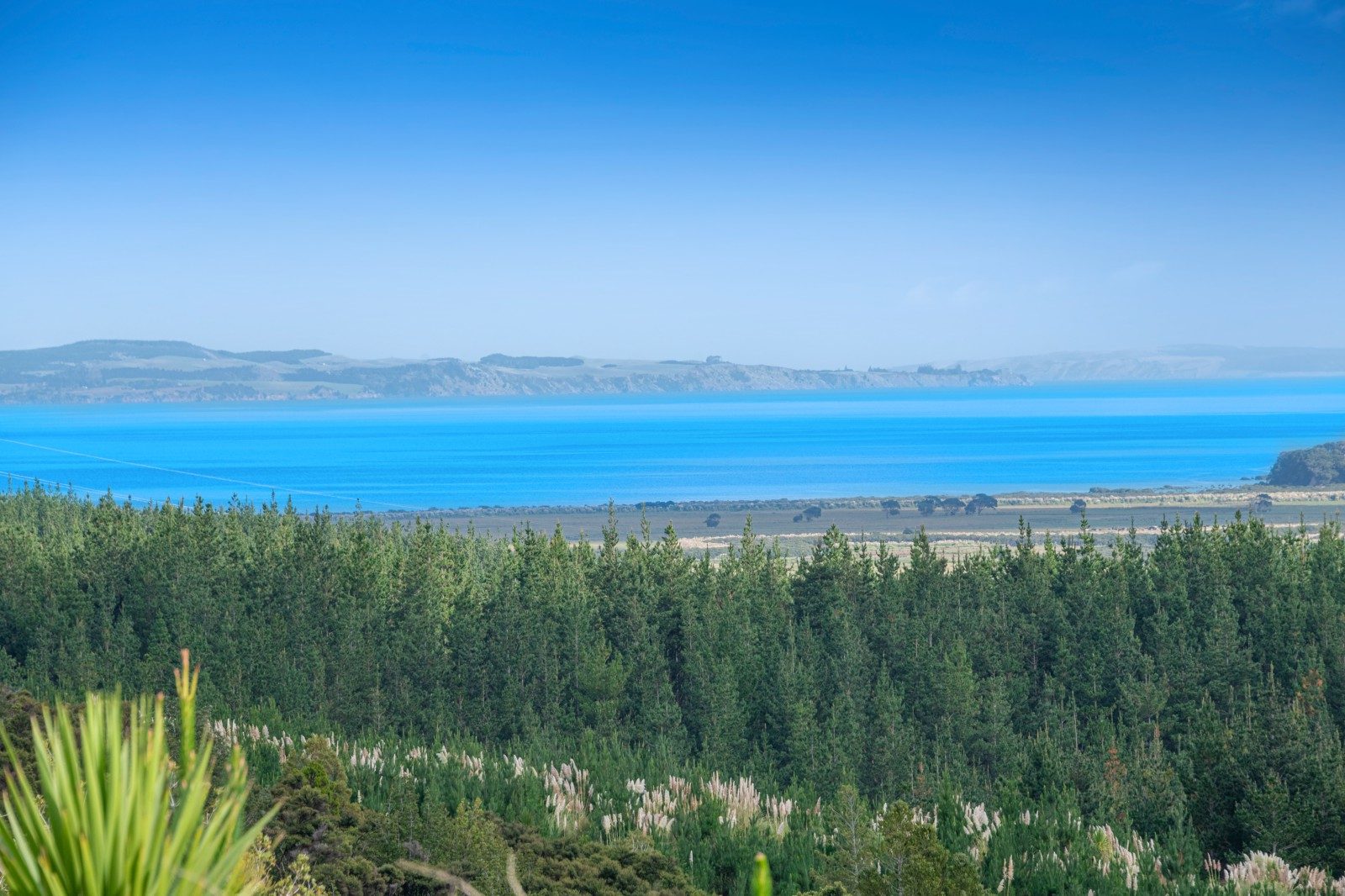 Tuhirangi Heights (House & Land Packages) — slide 2