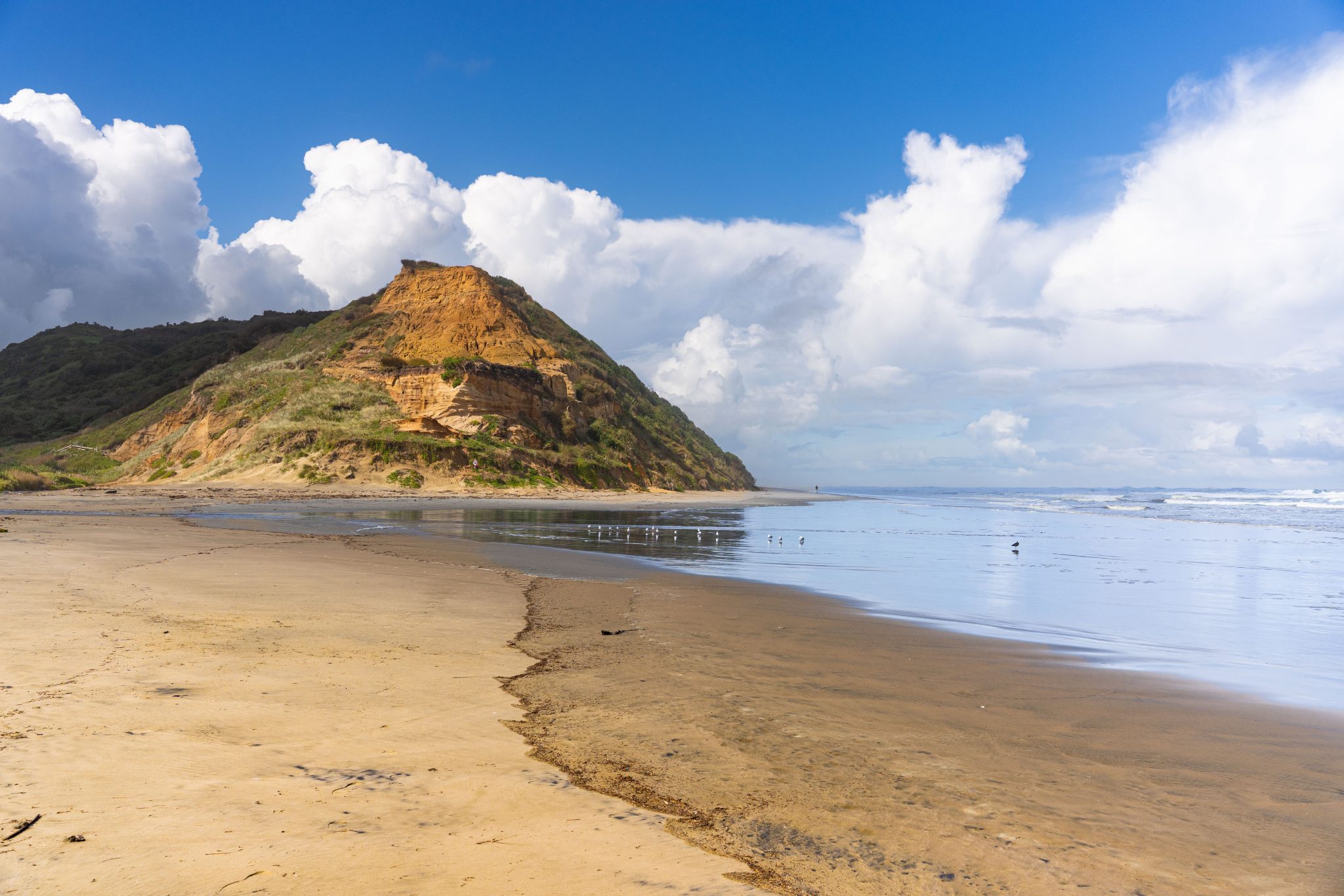 BAYLYS BEACH BEAUTY — slide 26