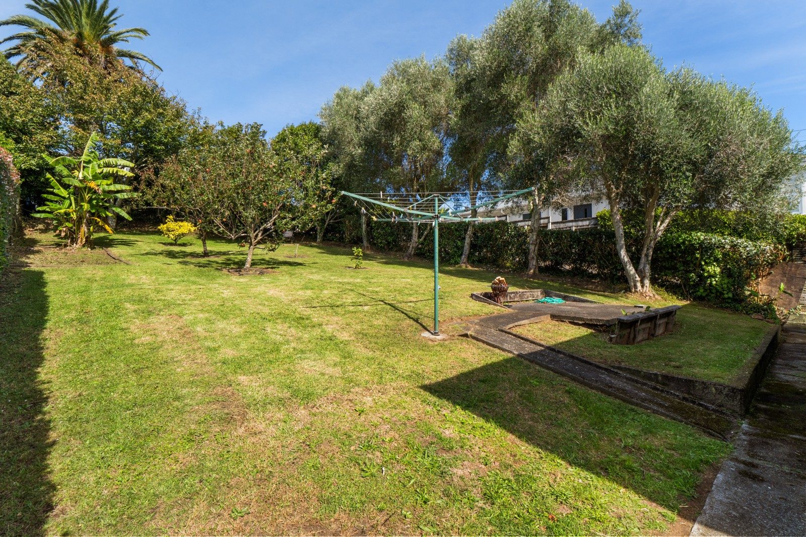 Rare opportunity on Rimu — slide 22