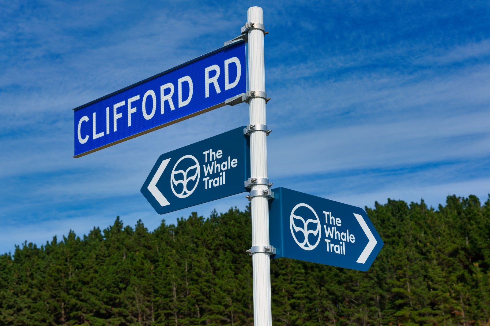 Get Creative in Clifford Bay — slide 39