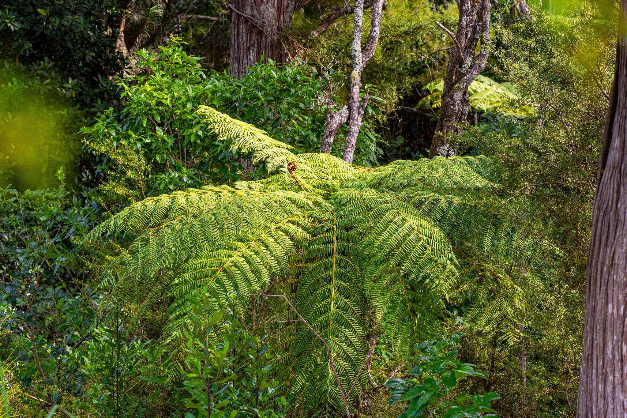 Your Kaipara Harbour Sanctuary Awaits — slide 30