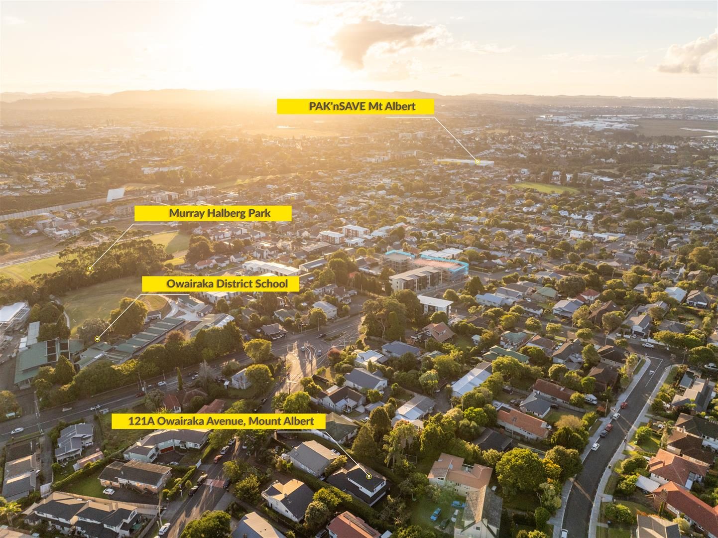 Absolute Family Gold Ignore CV, a Must See — slide 9
