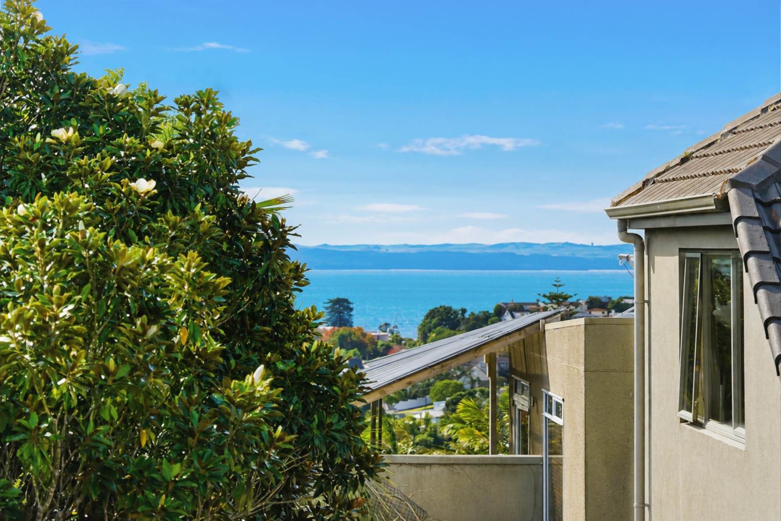 Sunny, Private & Cozy Living in Orakei — slide 27