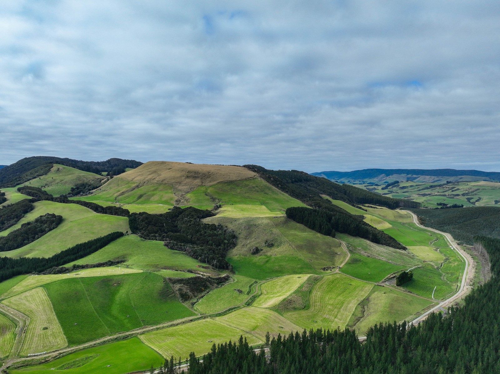 Dairy Support with Native Surroundings — slide 2
