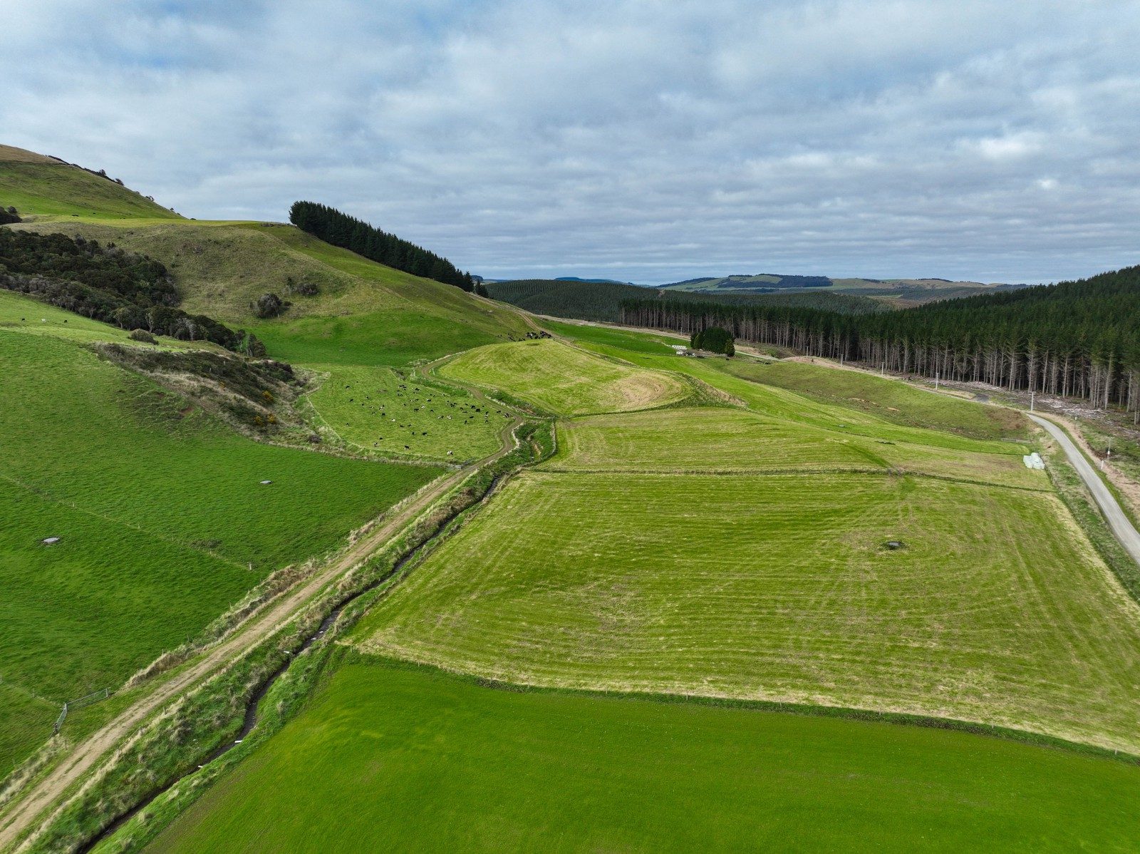 Dairy Support with Native Surroundings — slide 12