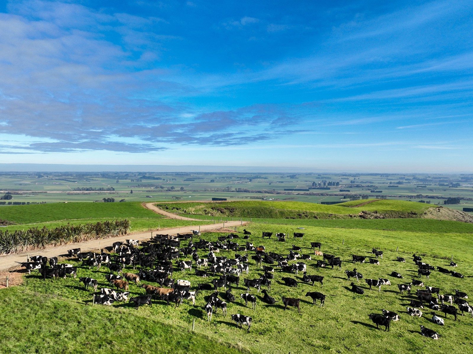 A Well-Presented Eastern Southland Dairy Unit — slide 2