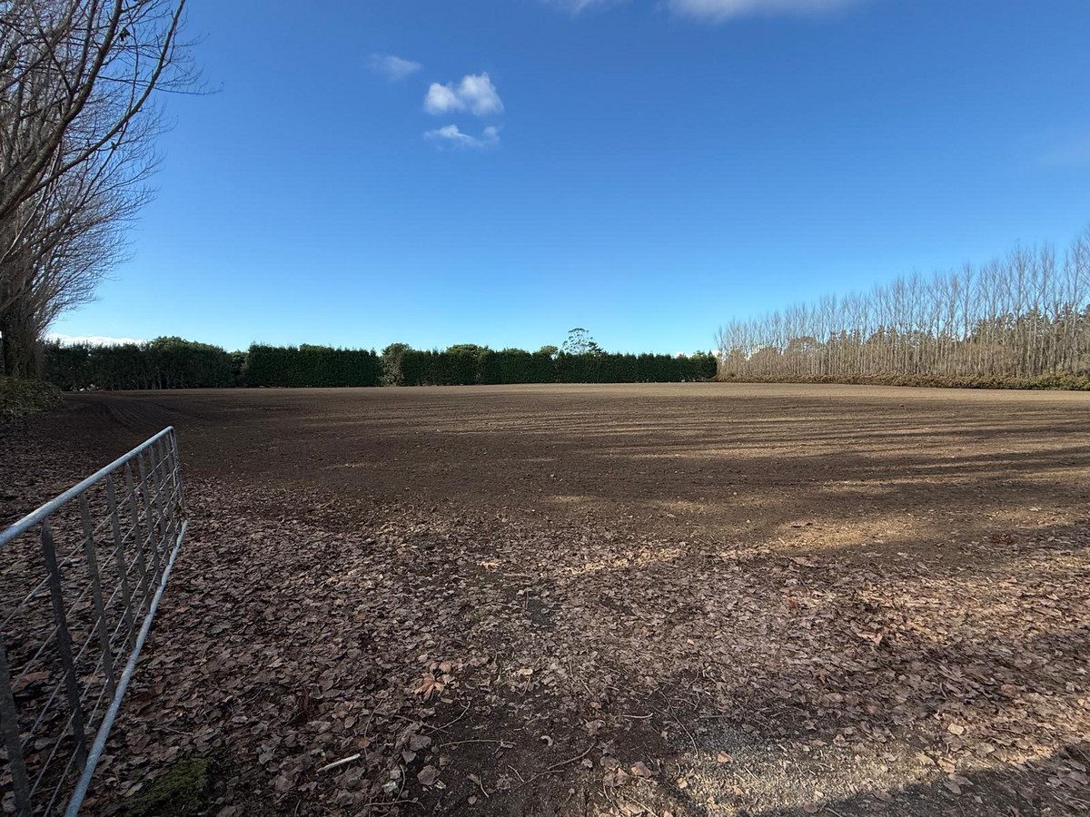 Rare prime kiwifruit land ready to roll! — slide 2