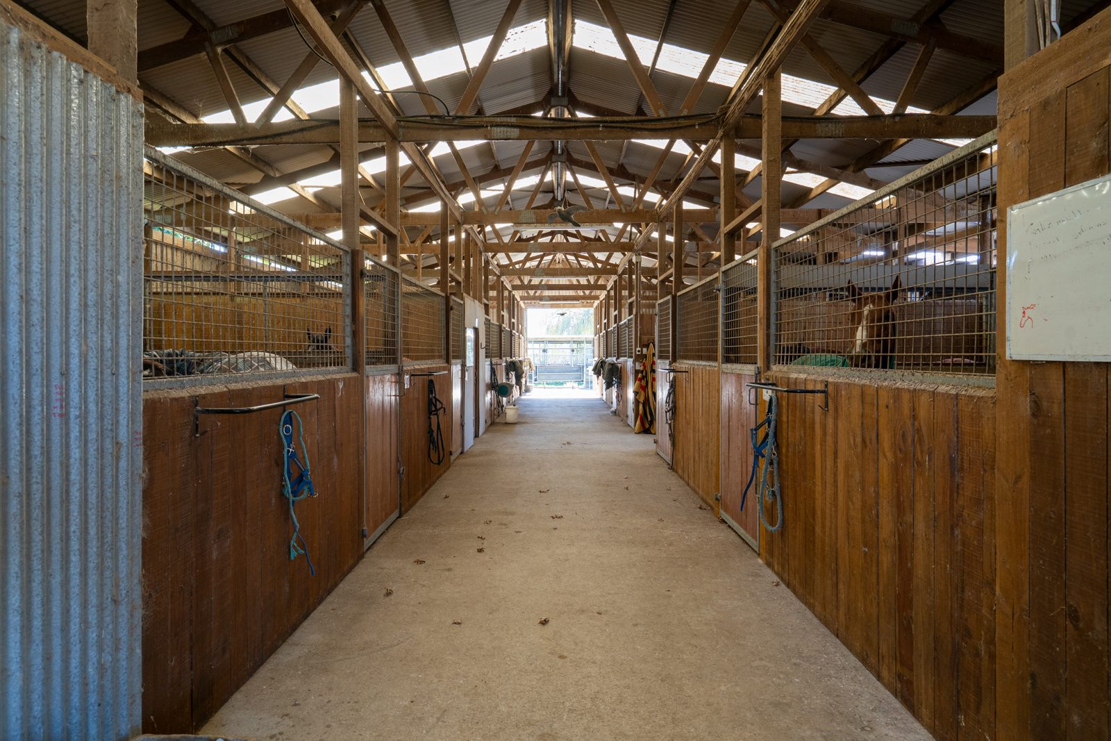 Equine Excellence with Landbank Opportunity — slide 2