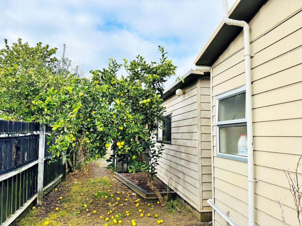 TWO TIDY DWELLINGS, FIRST HOME OR BACH — slide 11