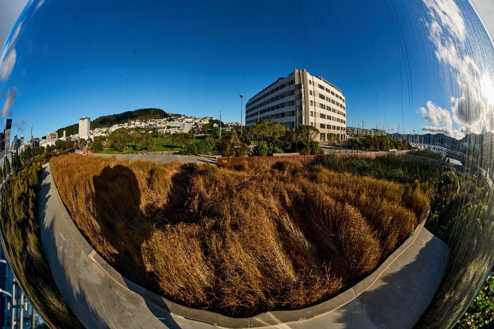 BEO $875,000 — slide 16