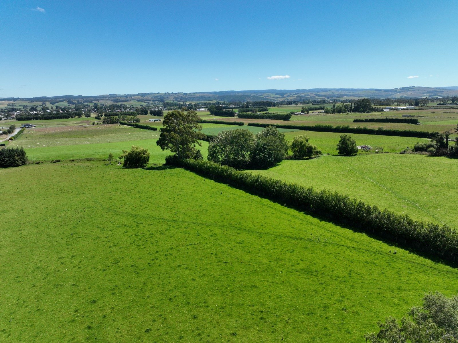 Fegan Farms — slide 8