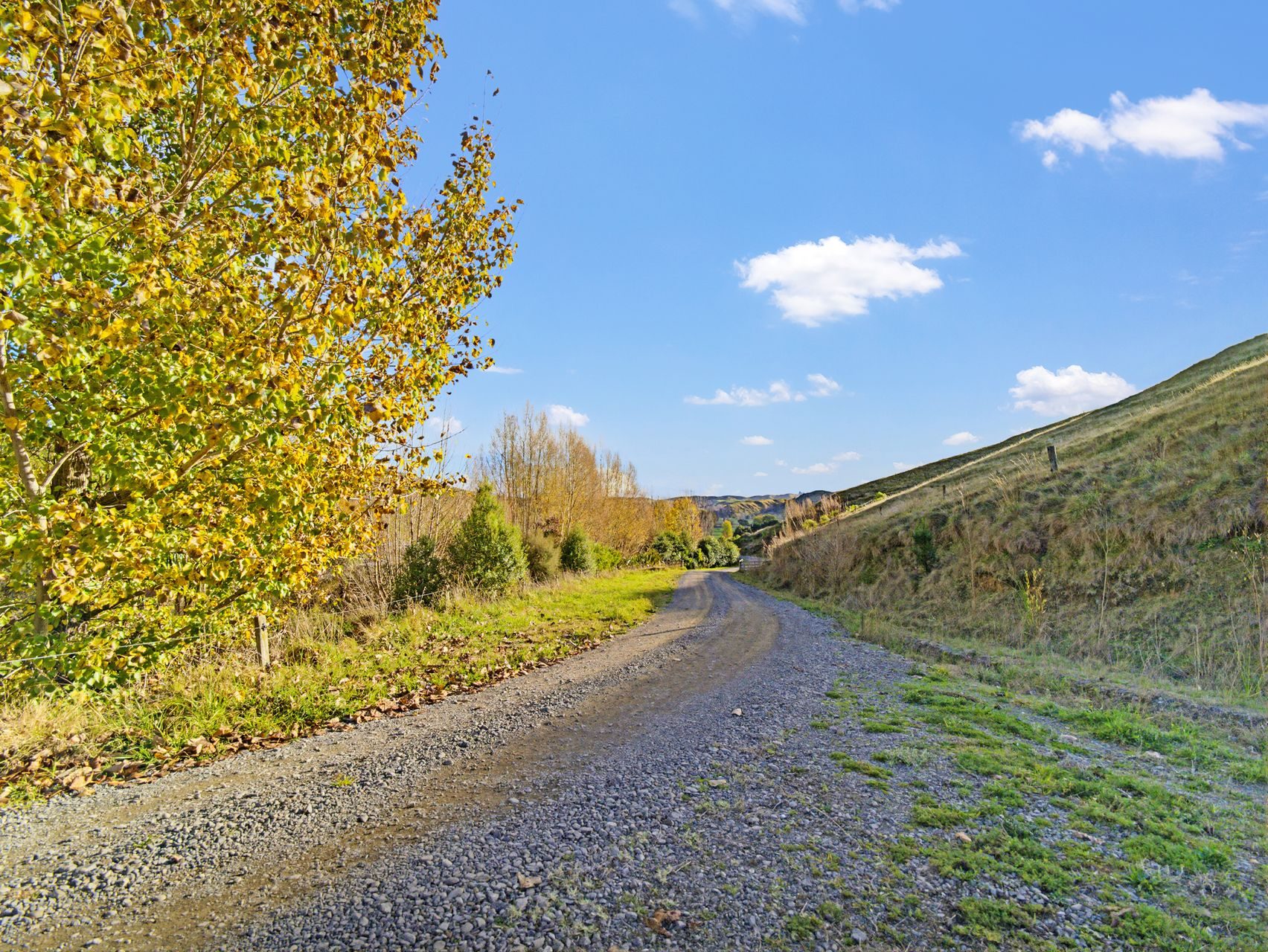 Big Sky, Bare Land on Lot 2 Kopaki Bay Road — slide 12