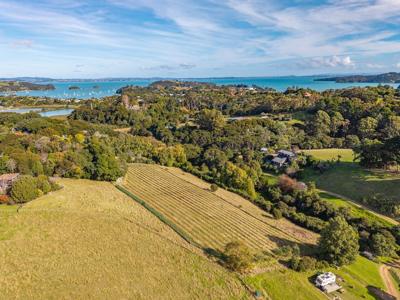 Reduced by $100K! — slide 19