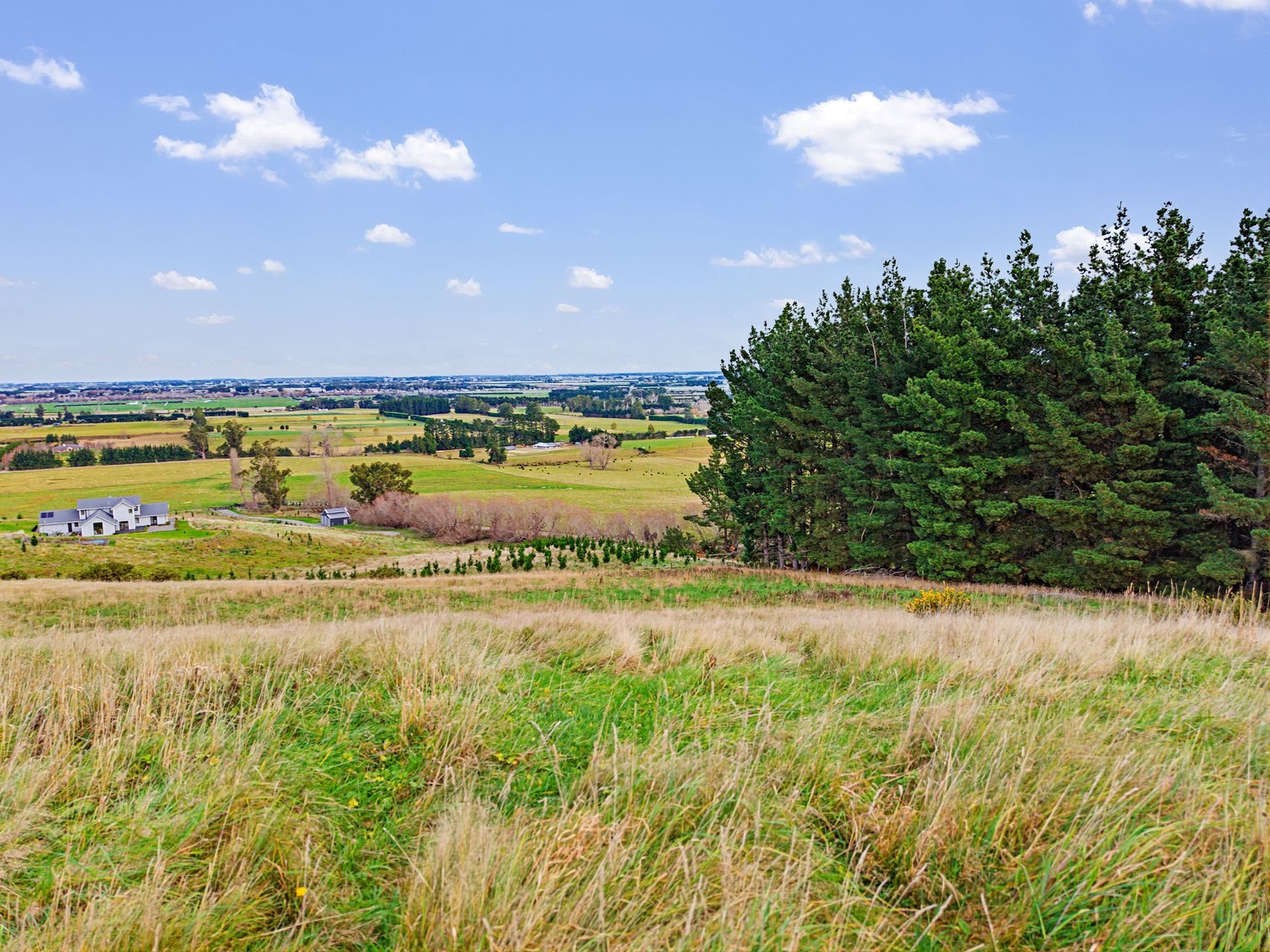 Make Country Life Yours in Cust — slide 15