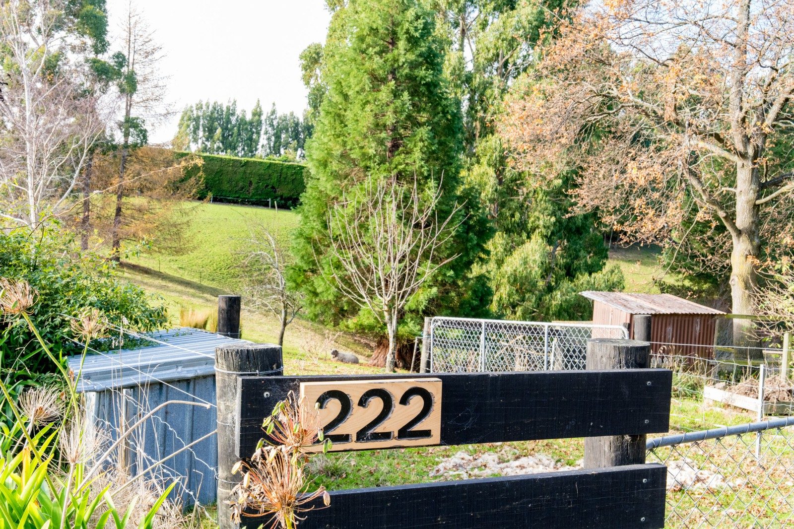 A Charming Choice at Chain Hills — slide 33
