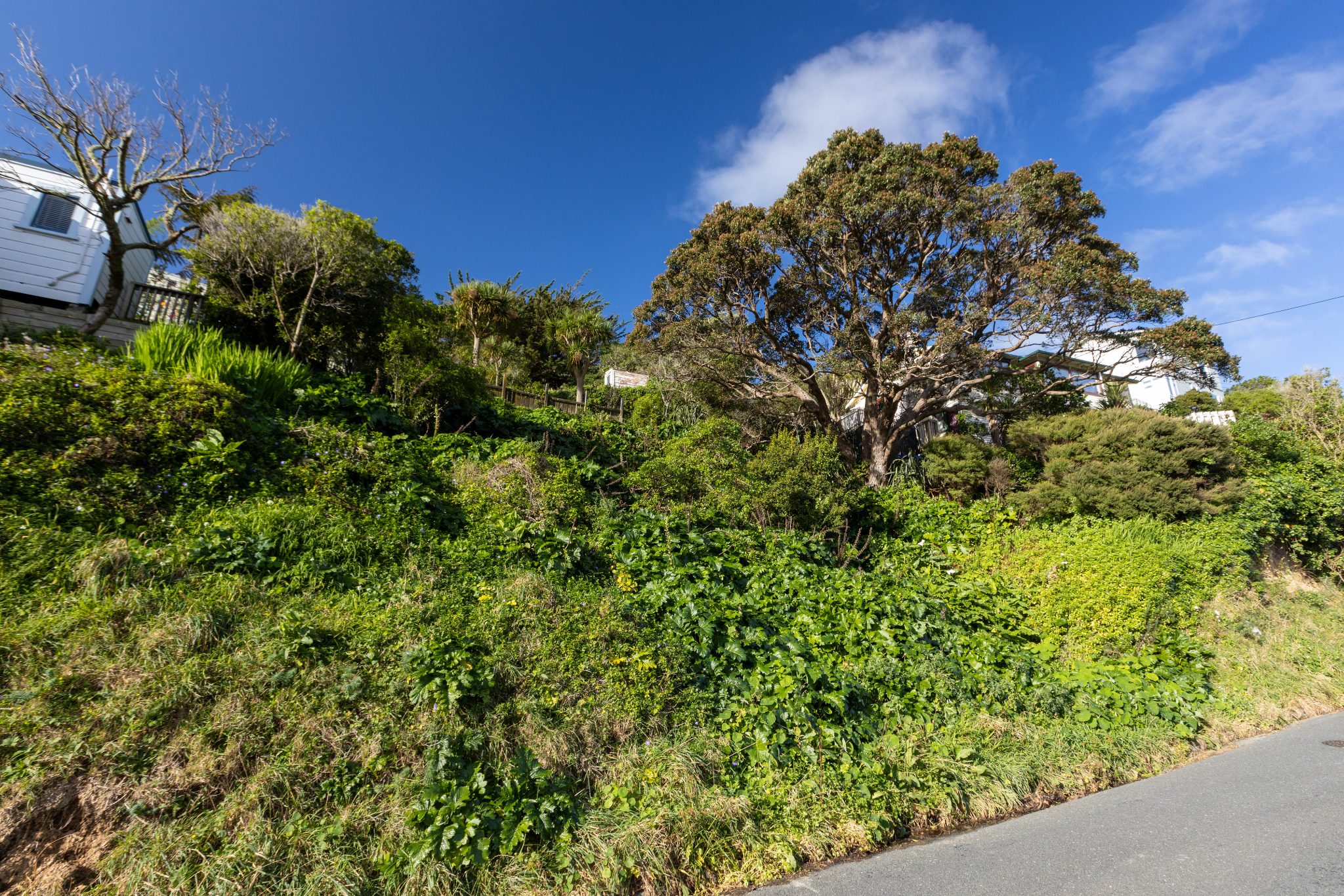 Great Section with Sun, Views & Location! — slide 2
