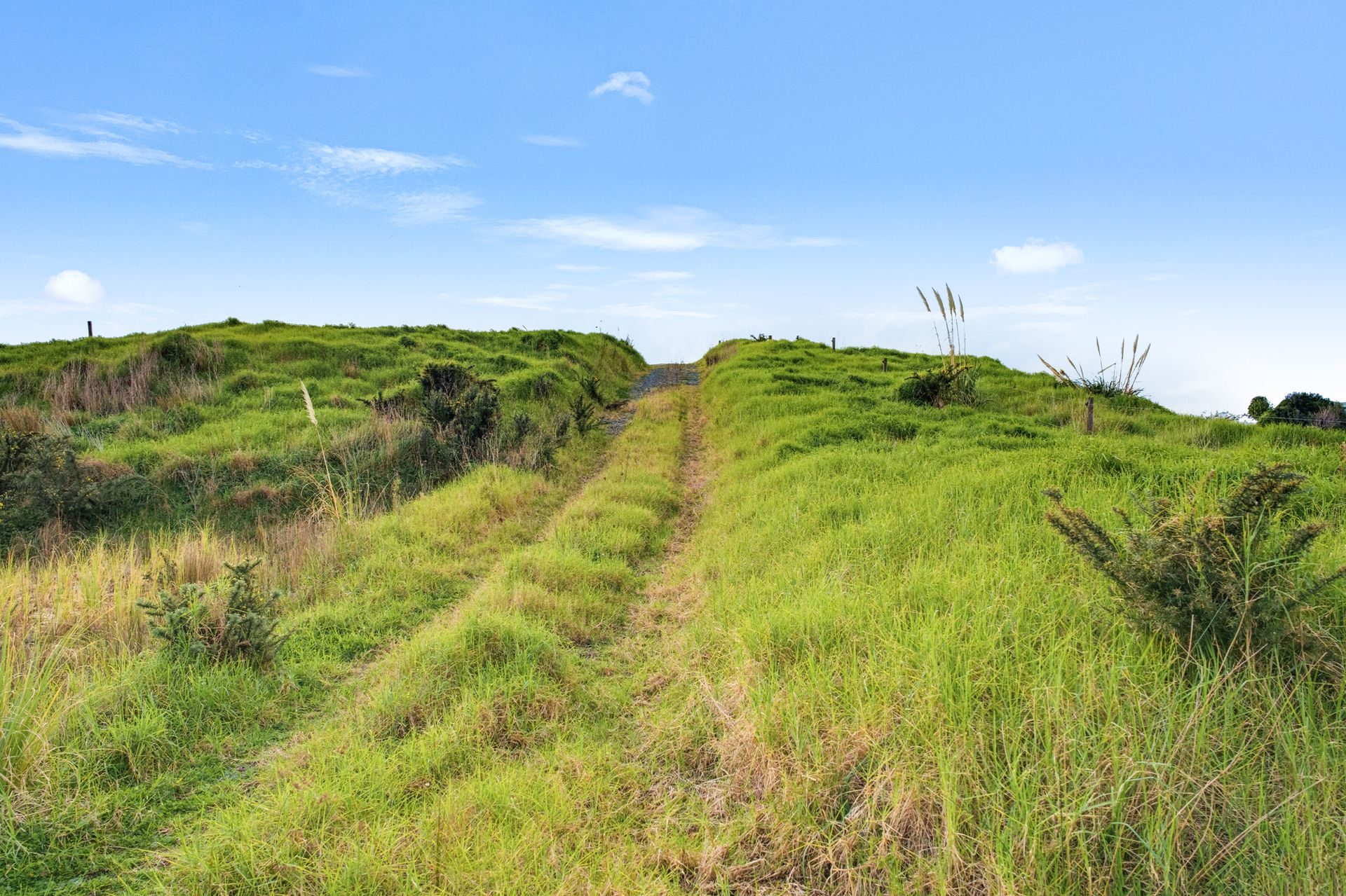 Bare Land, Big Country Views in Maungaturoto — slide 2