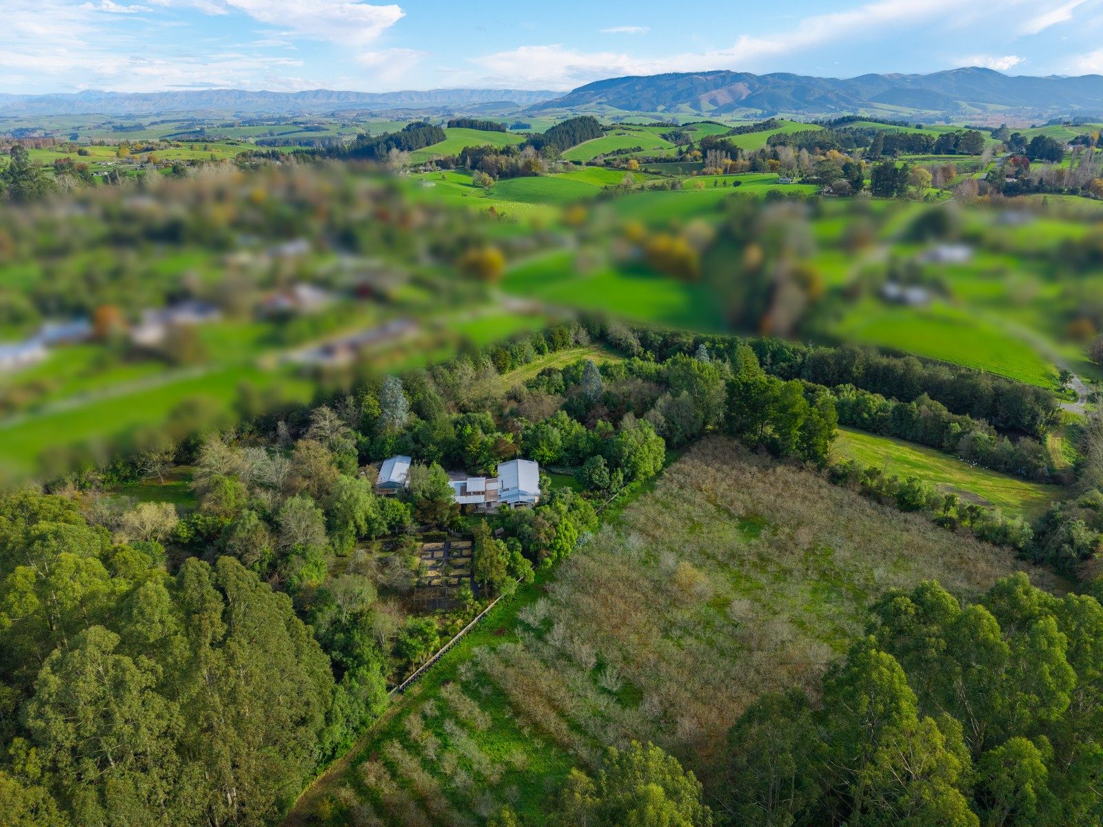 Extremely rare private paradise in Geraldine — slide 50
