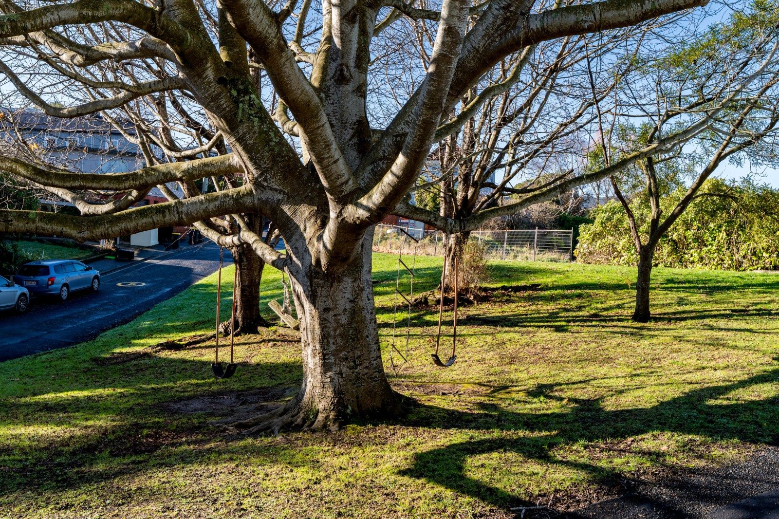 Entry Level to Maori HIll — slide 30