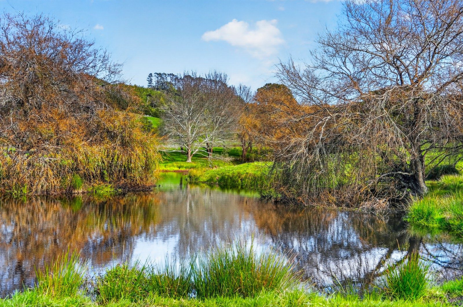 26 hectares of opportunity on Auckland’s... — slide 2