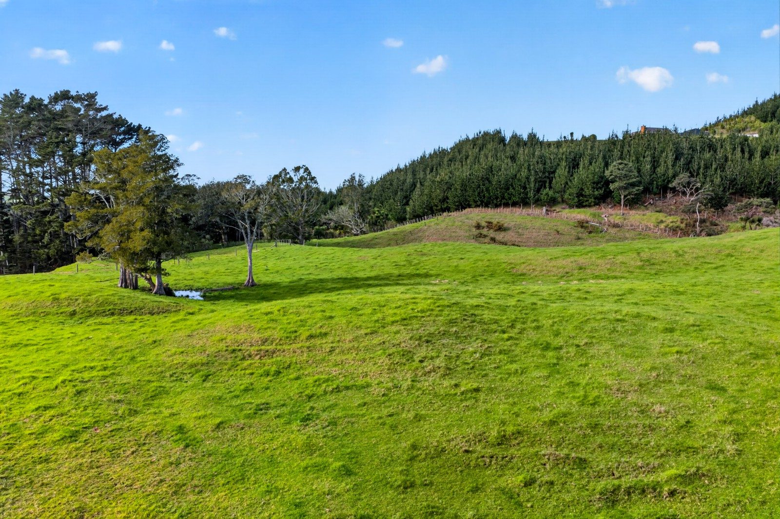 26 hectares of opportunity on Auckland’s... — slide 17