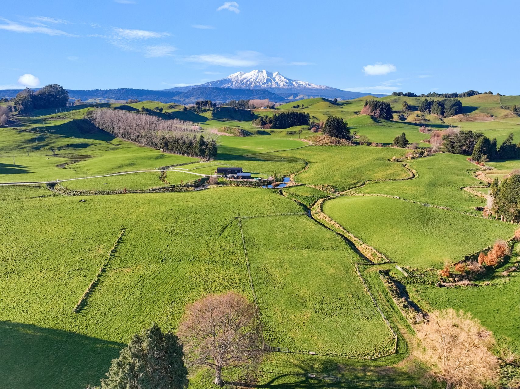 North-Facing Land with Mt Ruapehu in View — slide 1