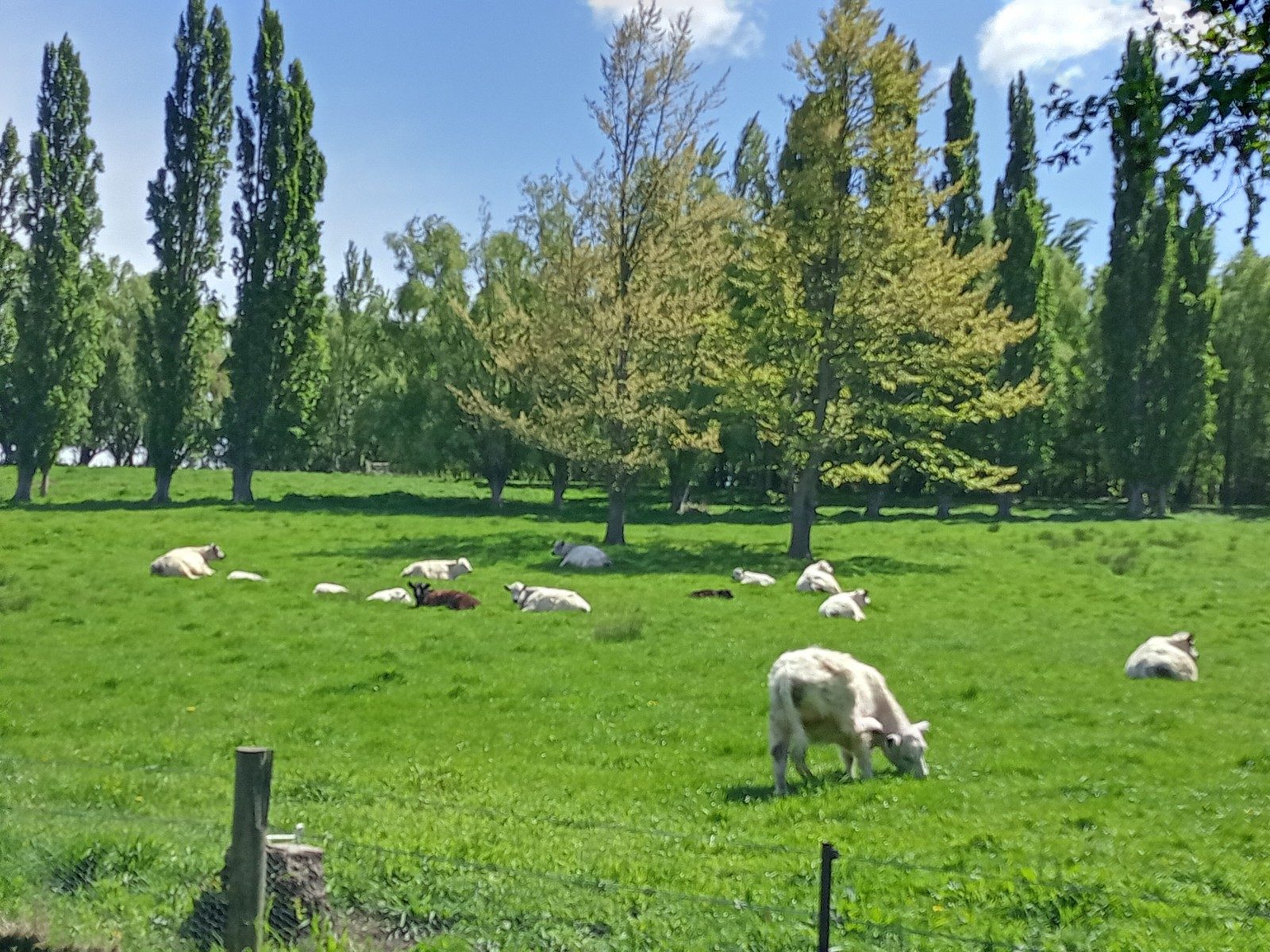 Lifestyle Haven With Extended Family Living — slide 40