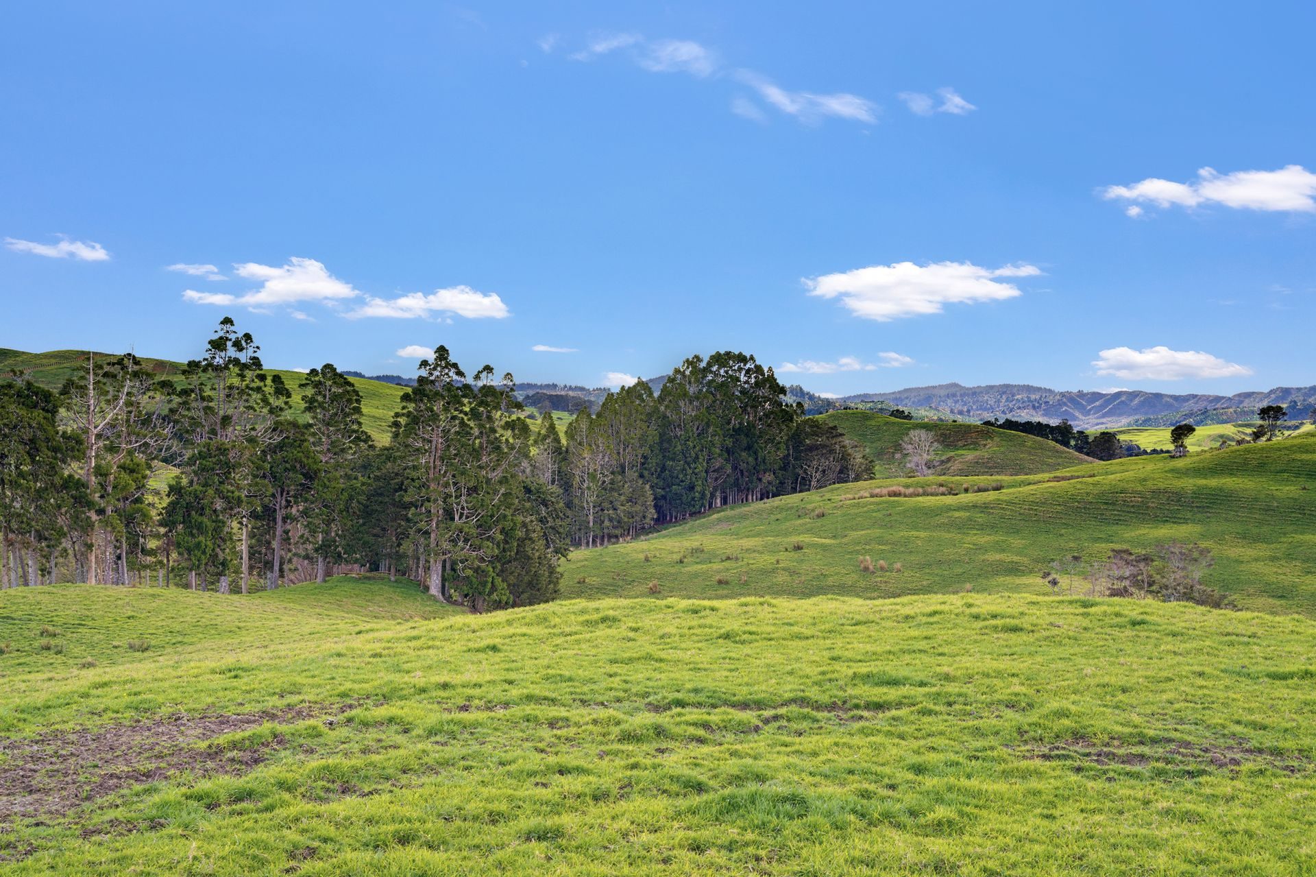 Make Gorge Road Your Rural Move — slide 2