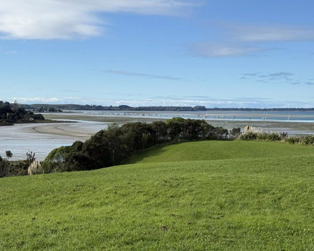 Introducing Lynley Park - Omokoroa Peninsula! — slide 4