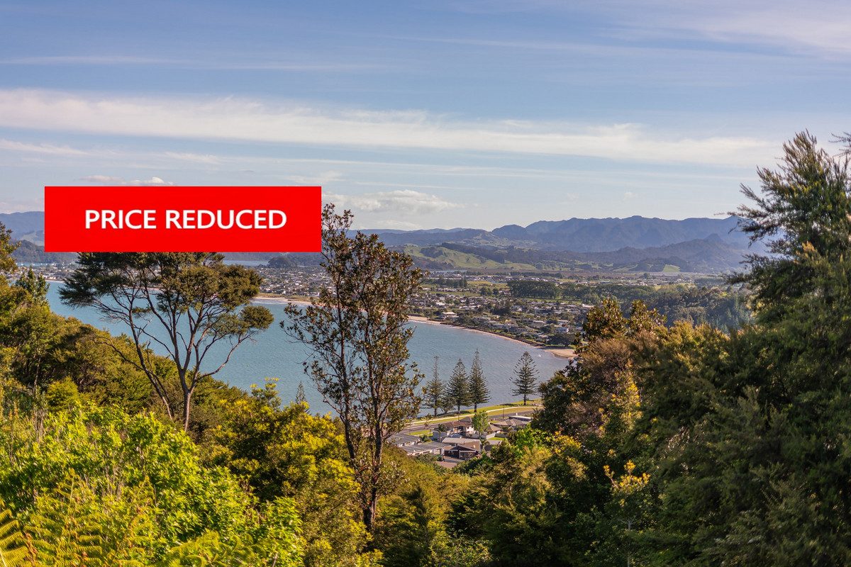 WHITIANGA FAMILY LIVING, SEA VIEWS & NATIVE BUSH — slide 1