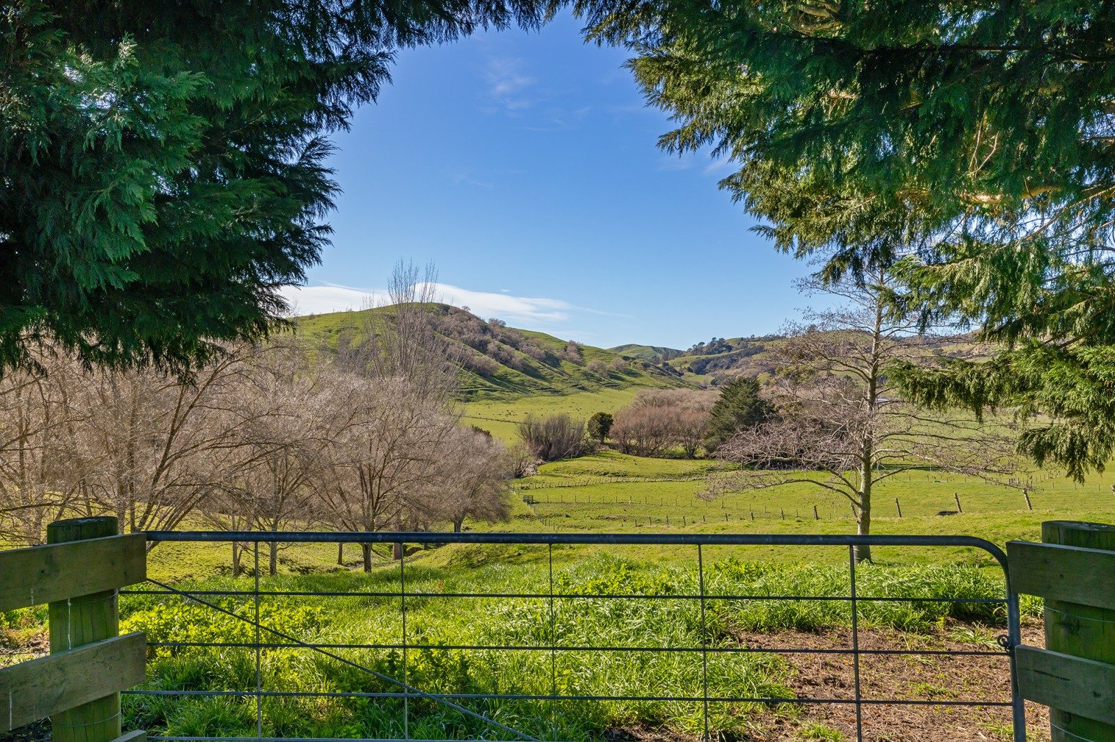 Lifestyle with Rural Vista — slide 2