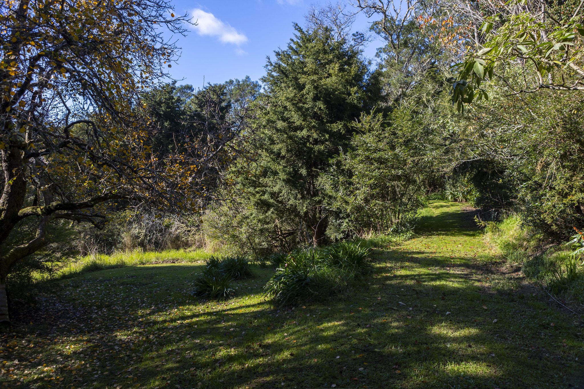 Old World Charm in Beautiful Totara North — slide 36