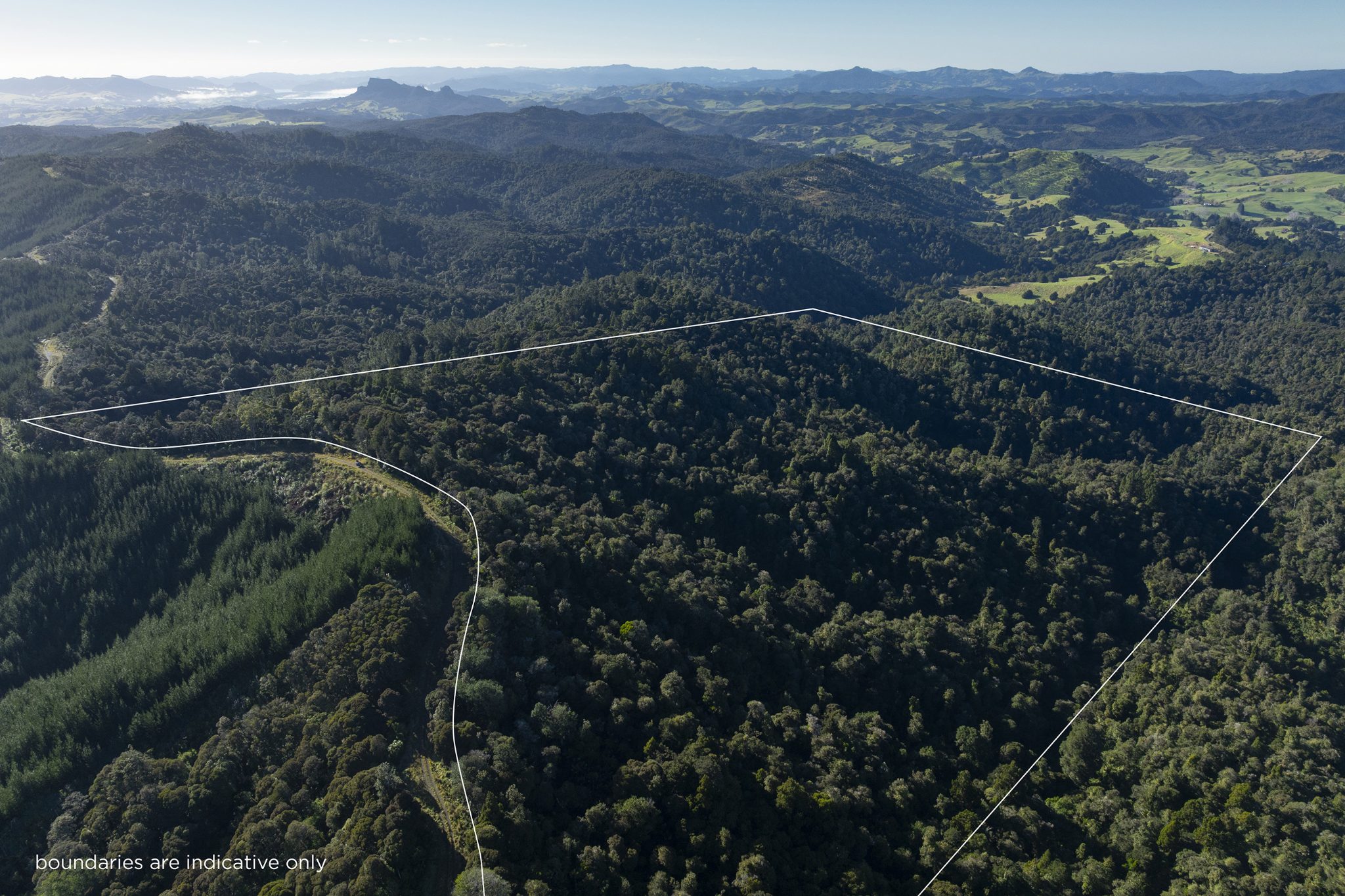 Peaceful, Private Bush Block with Expansive Views — slide 1