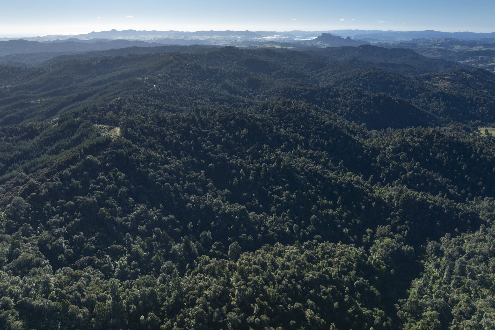 Peaceful, Private Bush Block with Expansive Views — slide 30