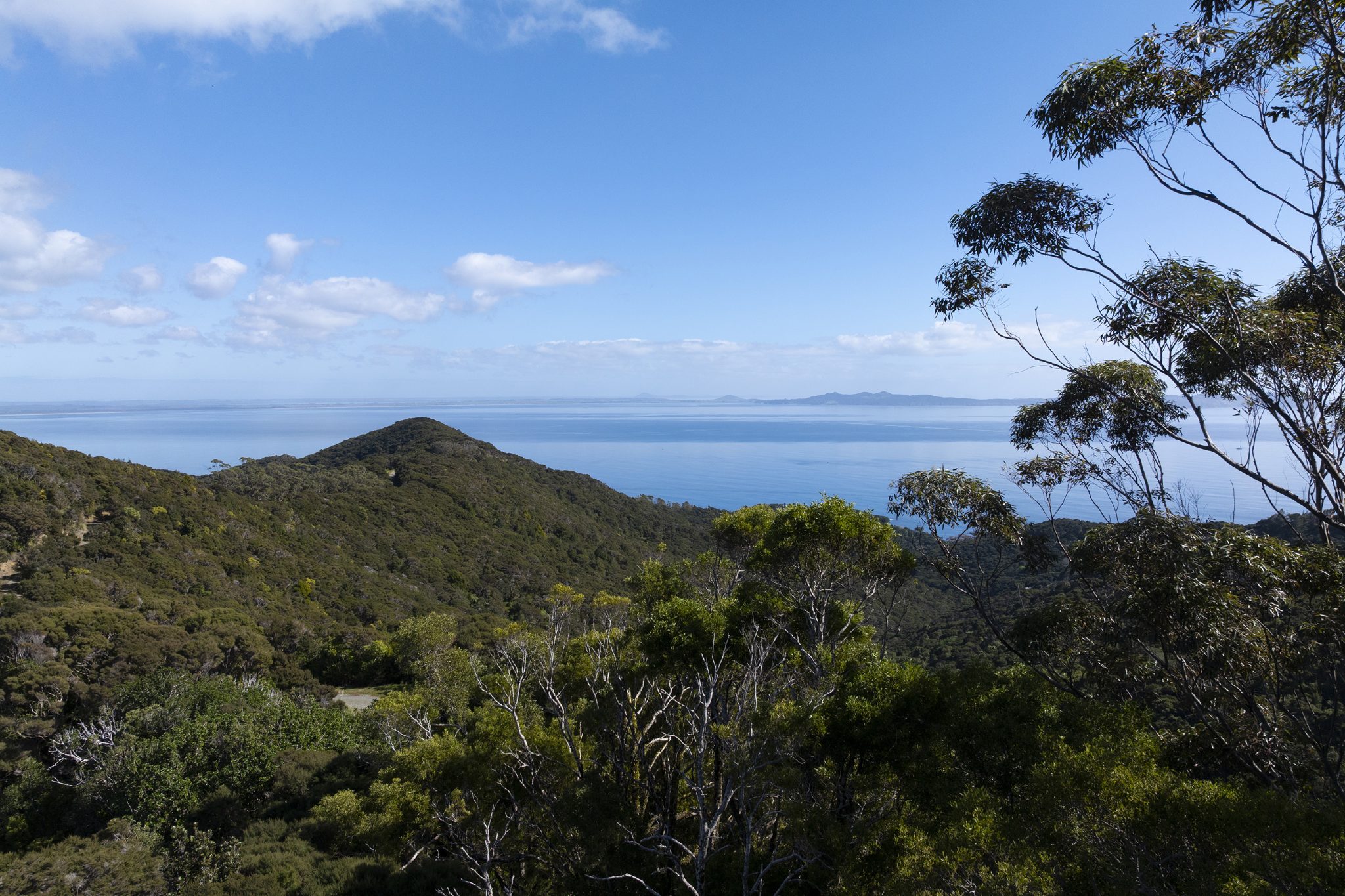 Spectacular Sea Views, Bush Clad, Priced Reduced! — slide 2