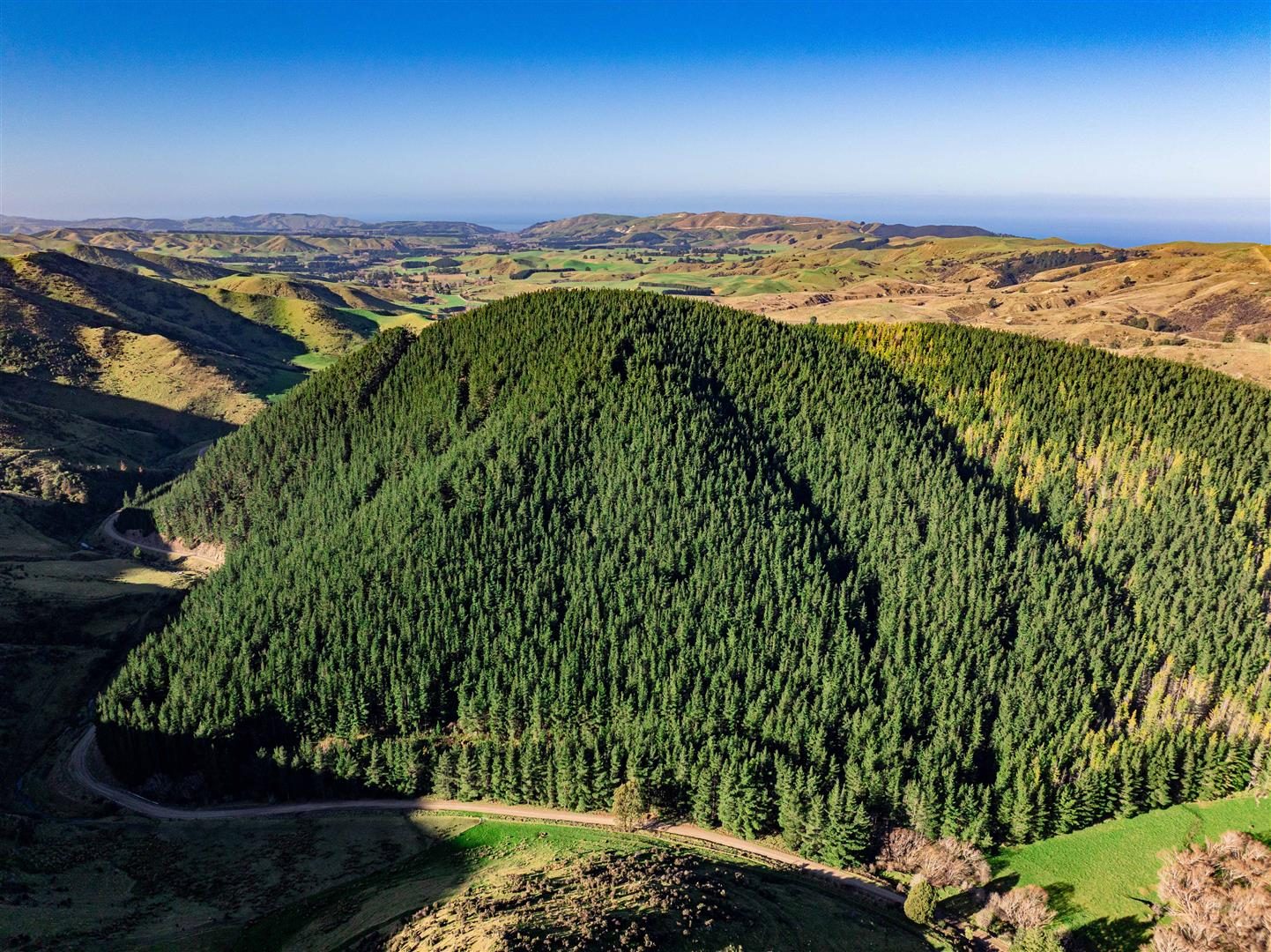 Blythe Forest – 82.3 ha* NSA — slide 1