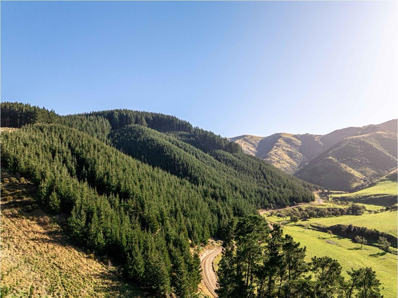 Blythe Forest – 82.3 ha* NSA — slide 2
