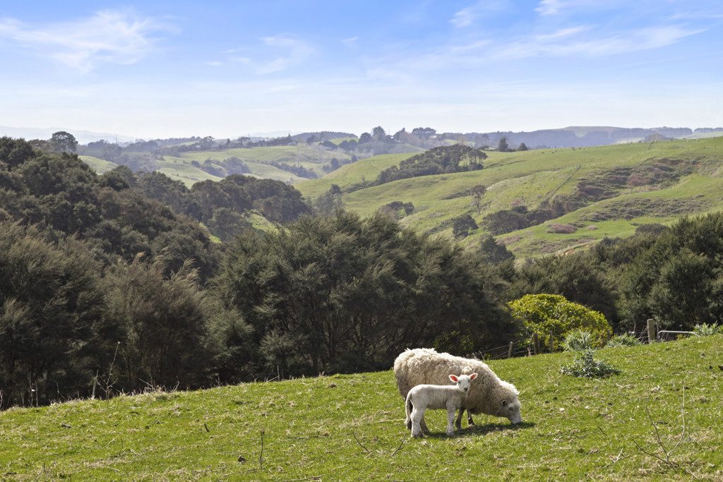 Space, Privacy & Stunning Valley Views — slide 2