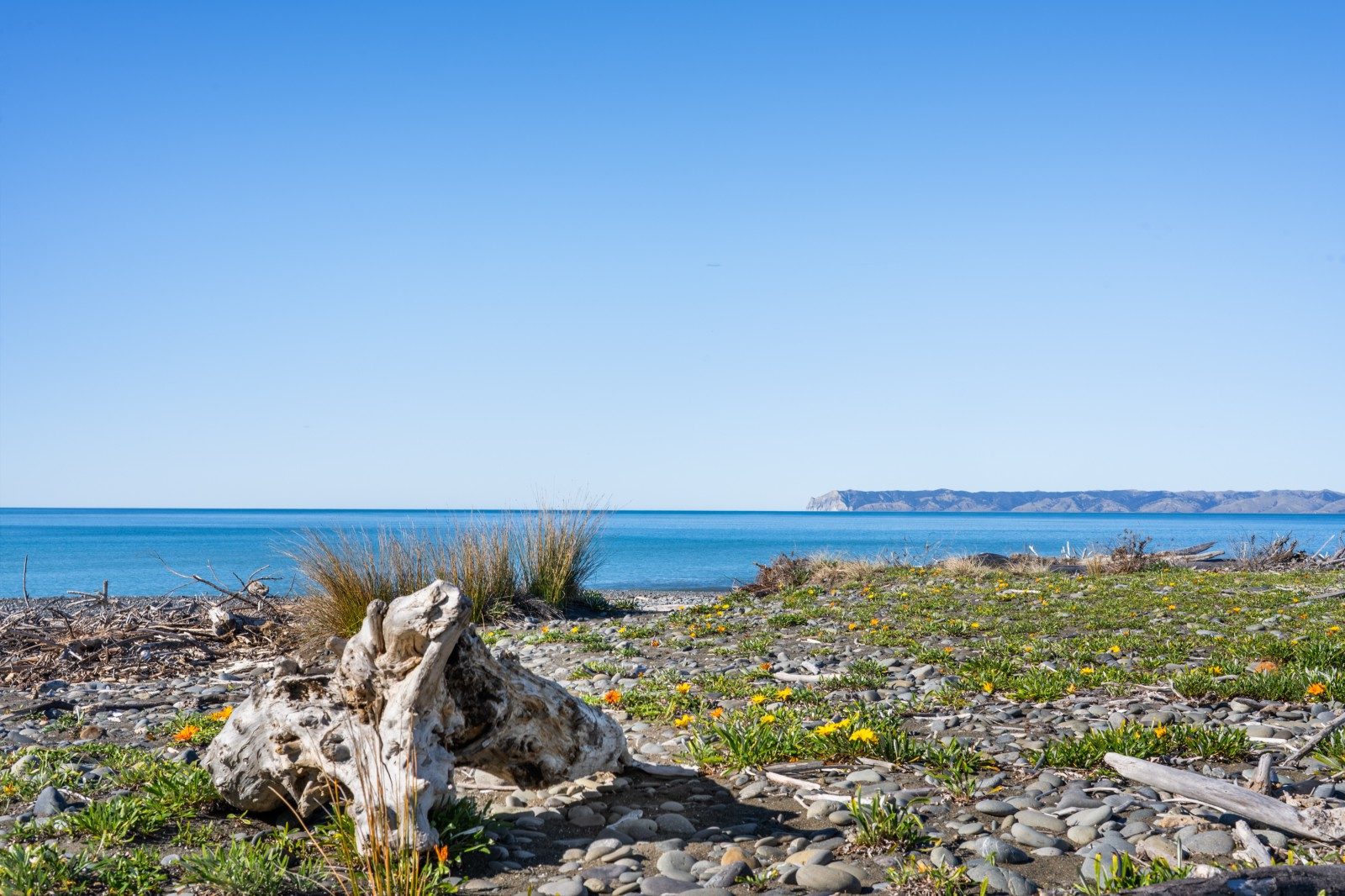 Coastal outlook, country space — slide 46