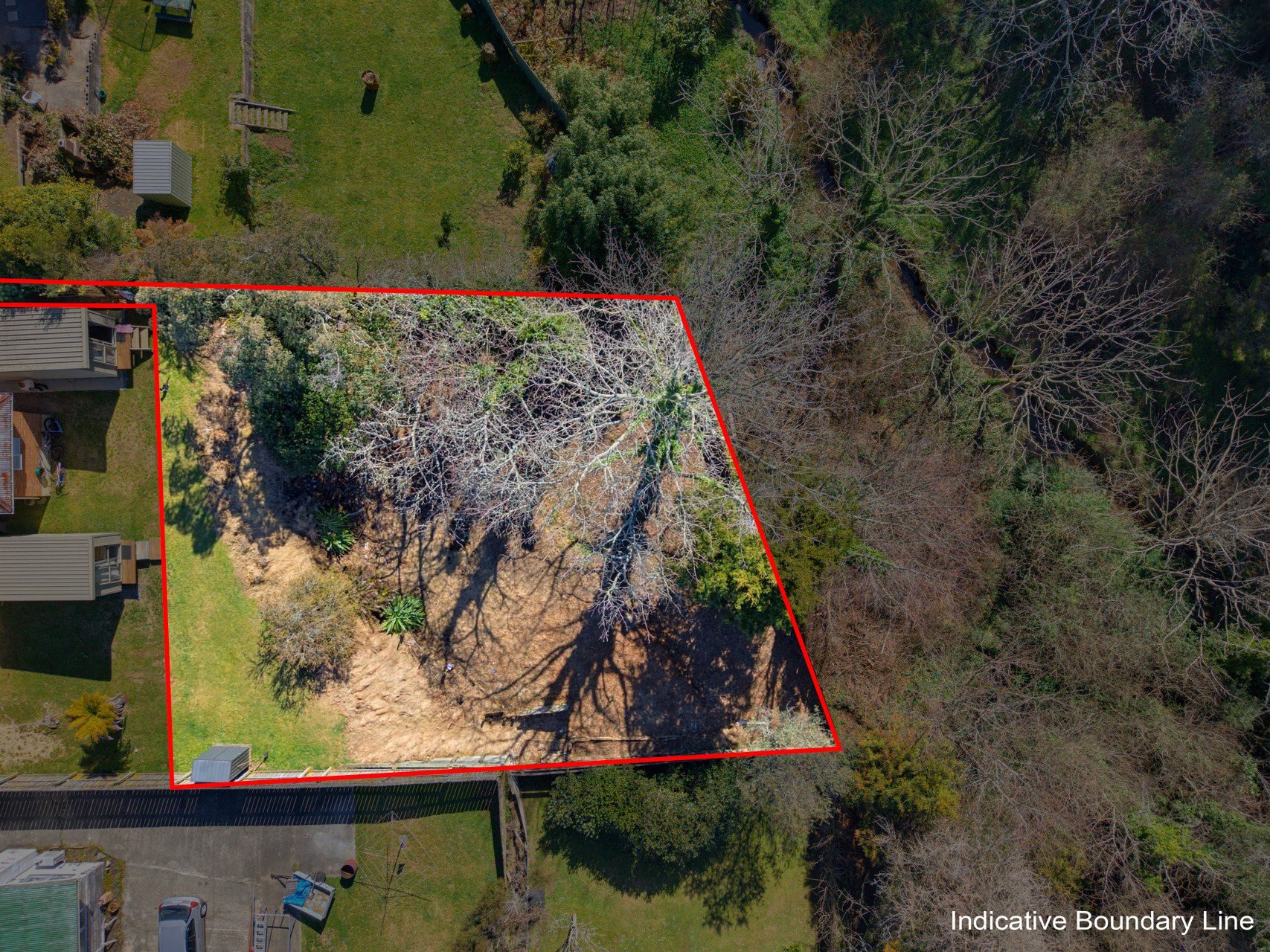 A Leafy Section with Room to Shape — slide 11