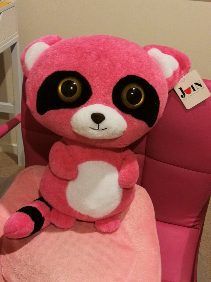 pink raccoon stuffed animal