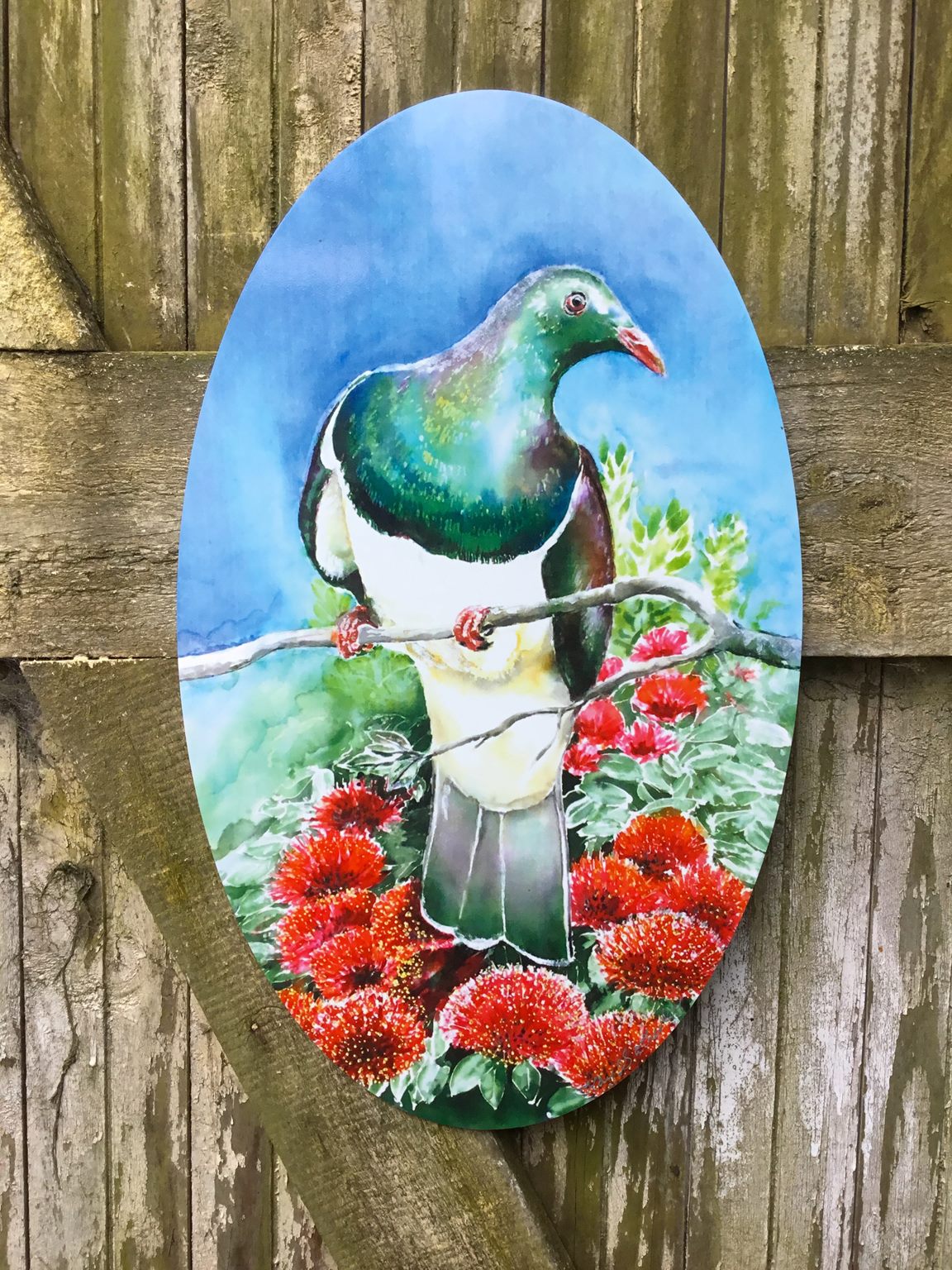 New Zealand Ru Bird Oval Outdoor Wall Art Panel 50cm X 30cm