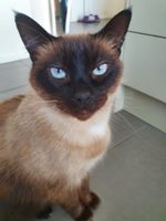 seller avatar