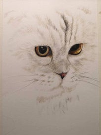 Listing 2 of 2 for A pussy cat - watercolour