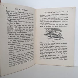 Listing 6 of 7 for LIFE IN COLD LANDS: Whitcombe's Story Books No 335