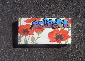 Listing 2 of 2 for Poppies flowers graffiti art mixed media painting by Scream and Lyn Rees